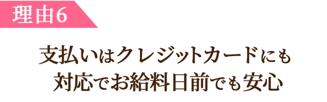 理由6、支払いはクレジットカードにも  対応でお給料日前でも安心